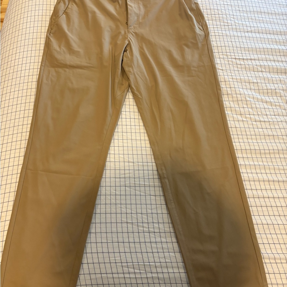 Fabletics Don Pants 34/32